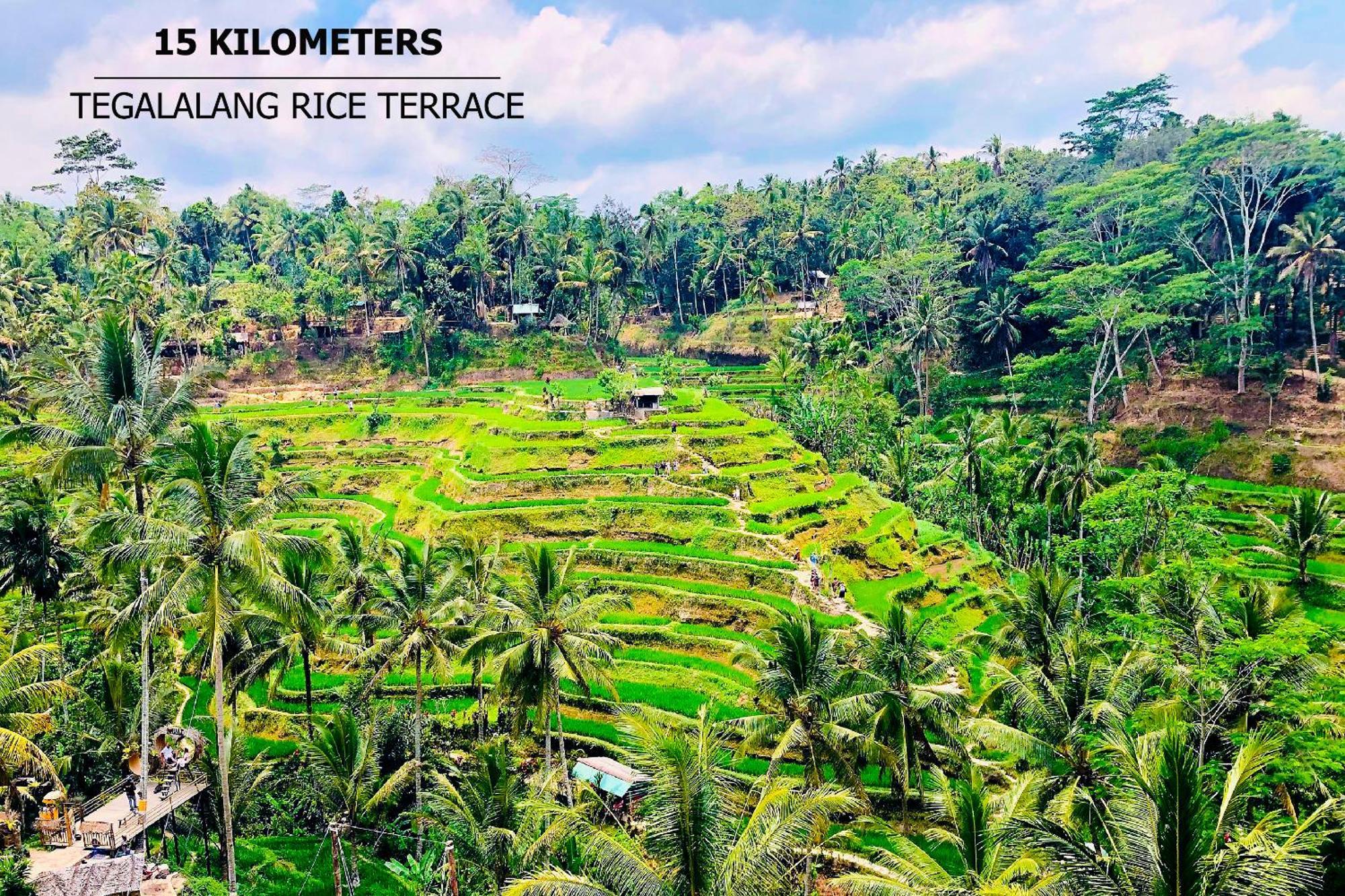 Green Flow Ubud Villas III Exterior photo