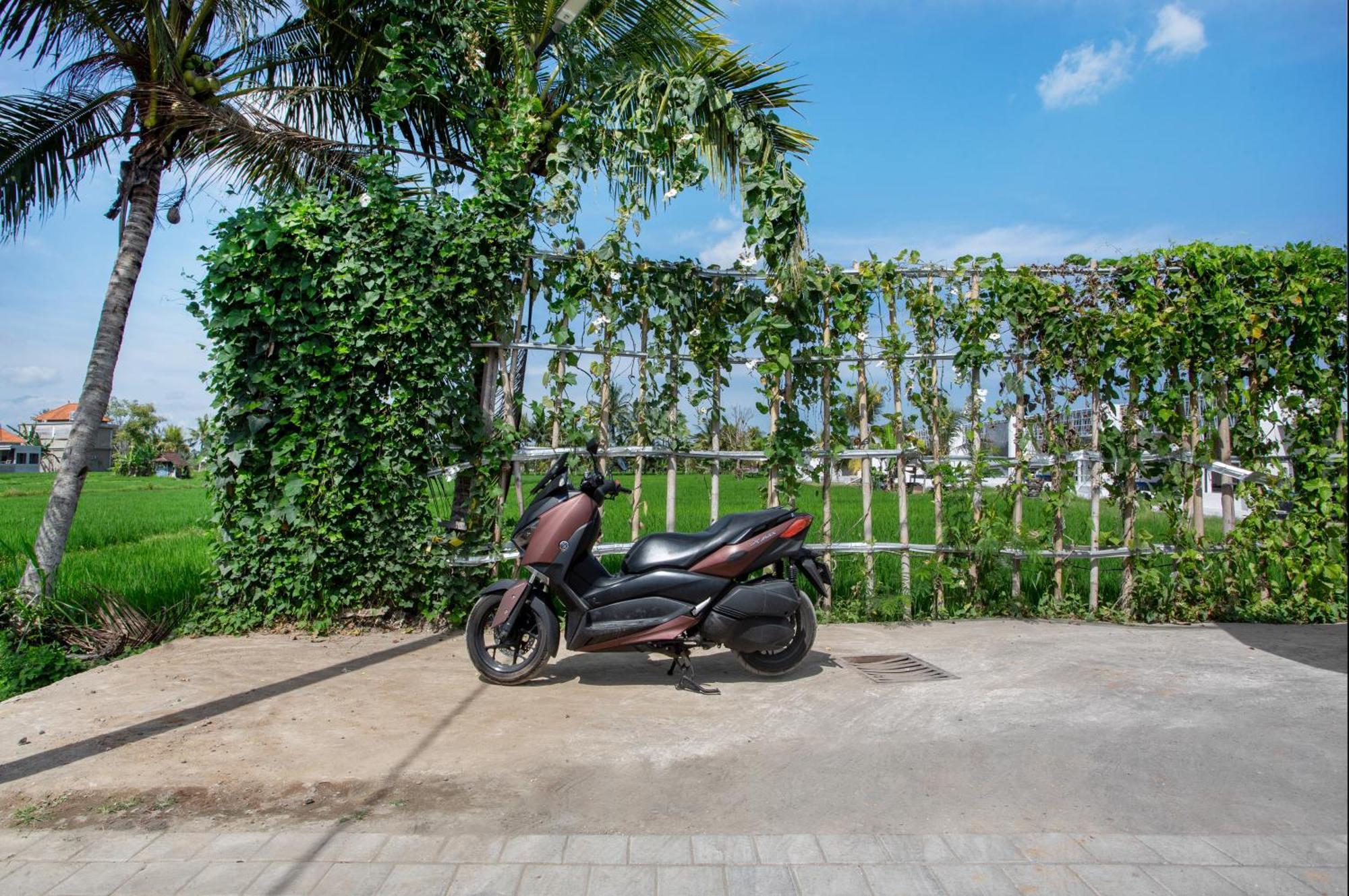 Green Flow Ubud Villas III Room photo