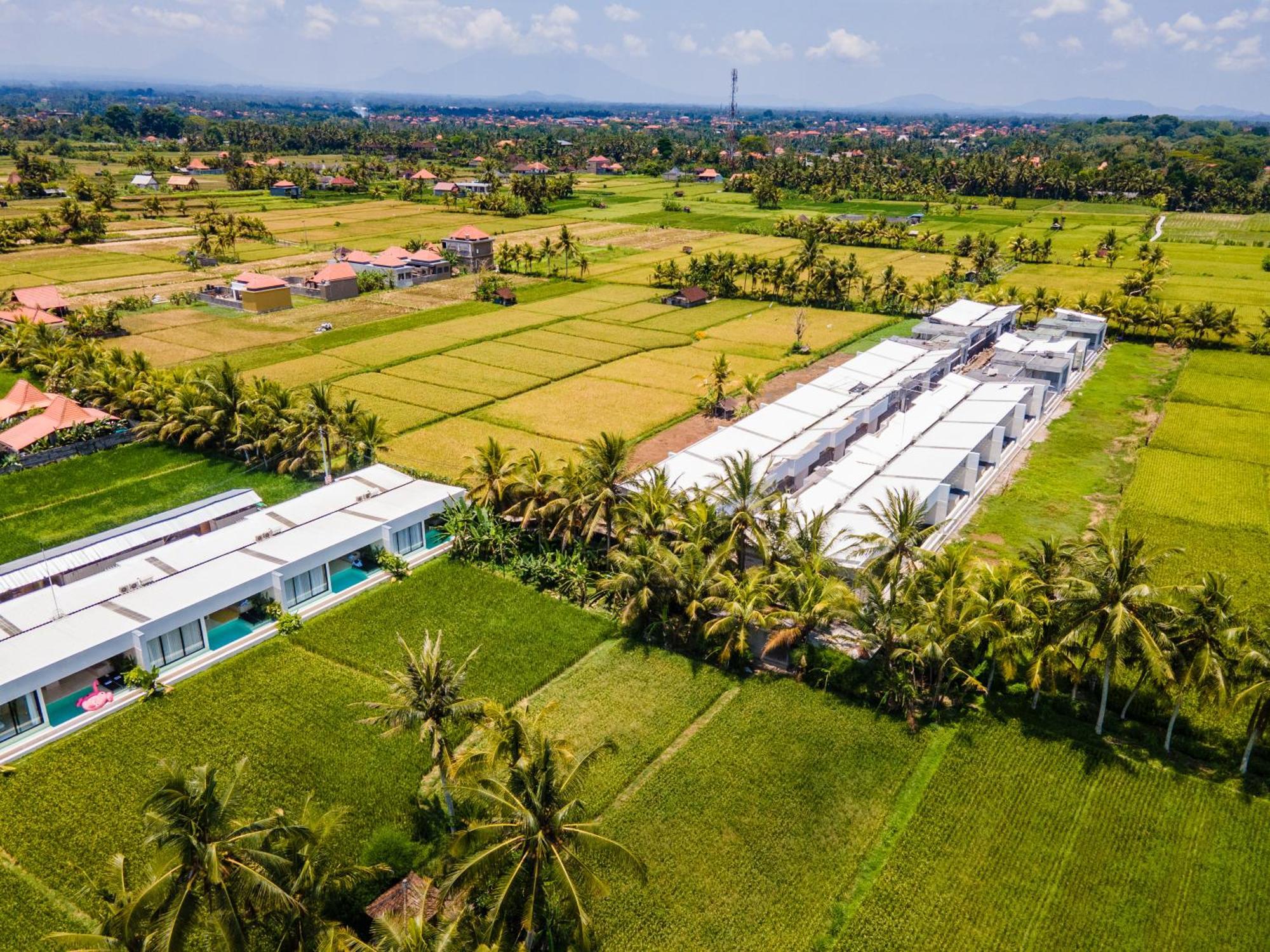 Green Flow Ubud Villas III Exterior photo