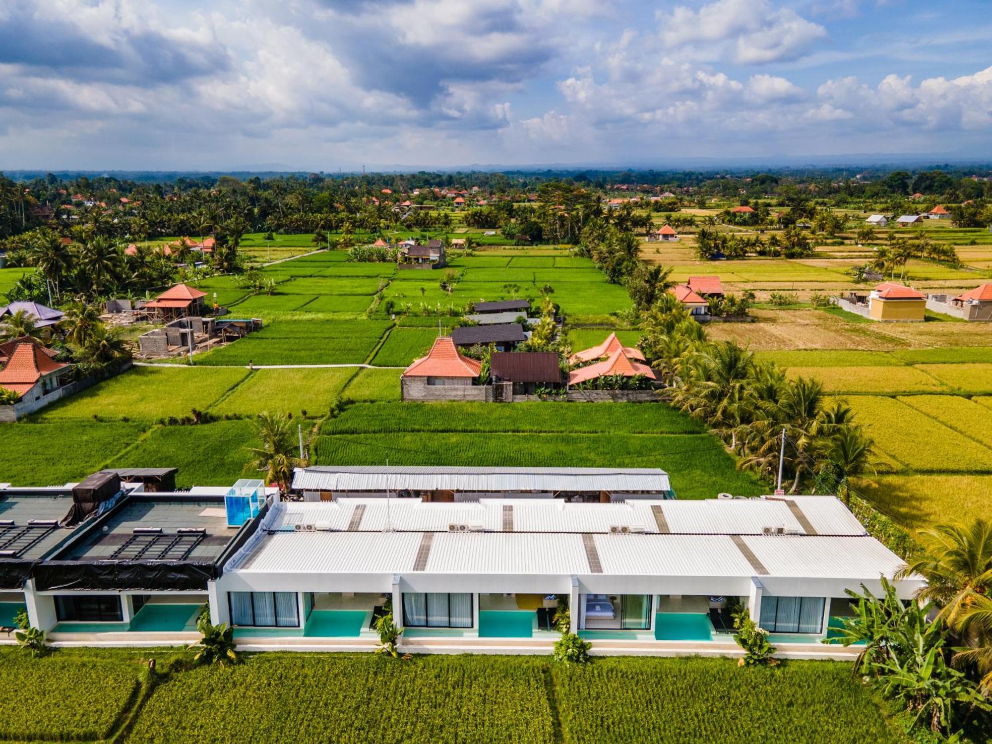 Green Flow Ubud Villas III Room photo